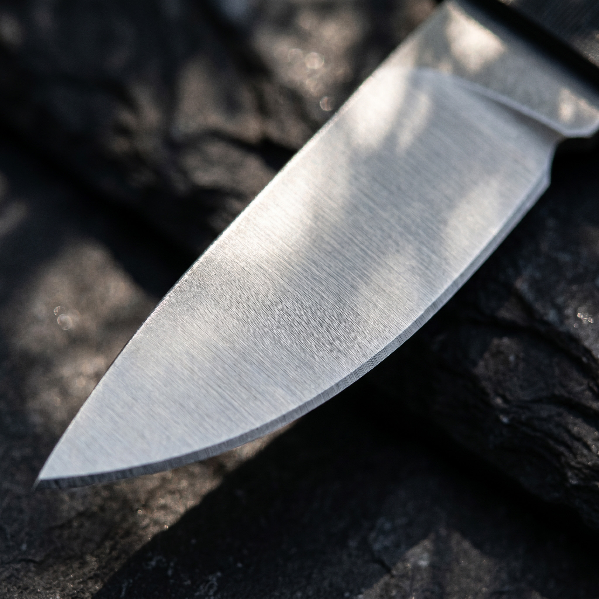 Portable Folding Pocket Knife  - Edc Carry Pocket Knife ulasan dan harga