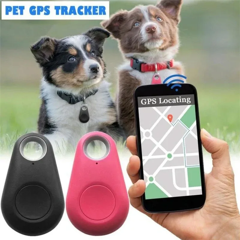Mini Fashion Smart Dog Pets Bl - Compass Keychain Mini ulasan dan harga