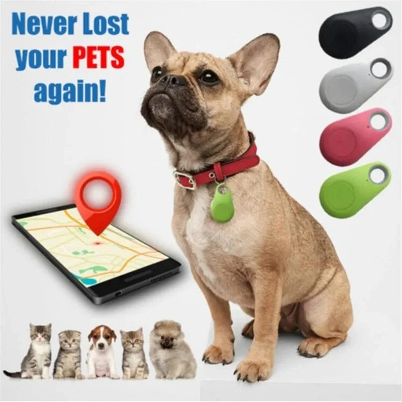 Mini Fashion Smart Dog Pets Bl - Compass Keychain Mini ulasan dan harga